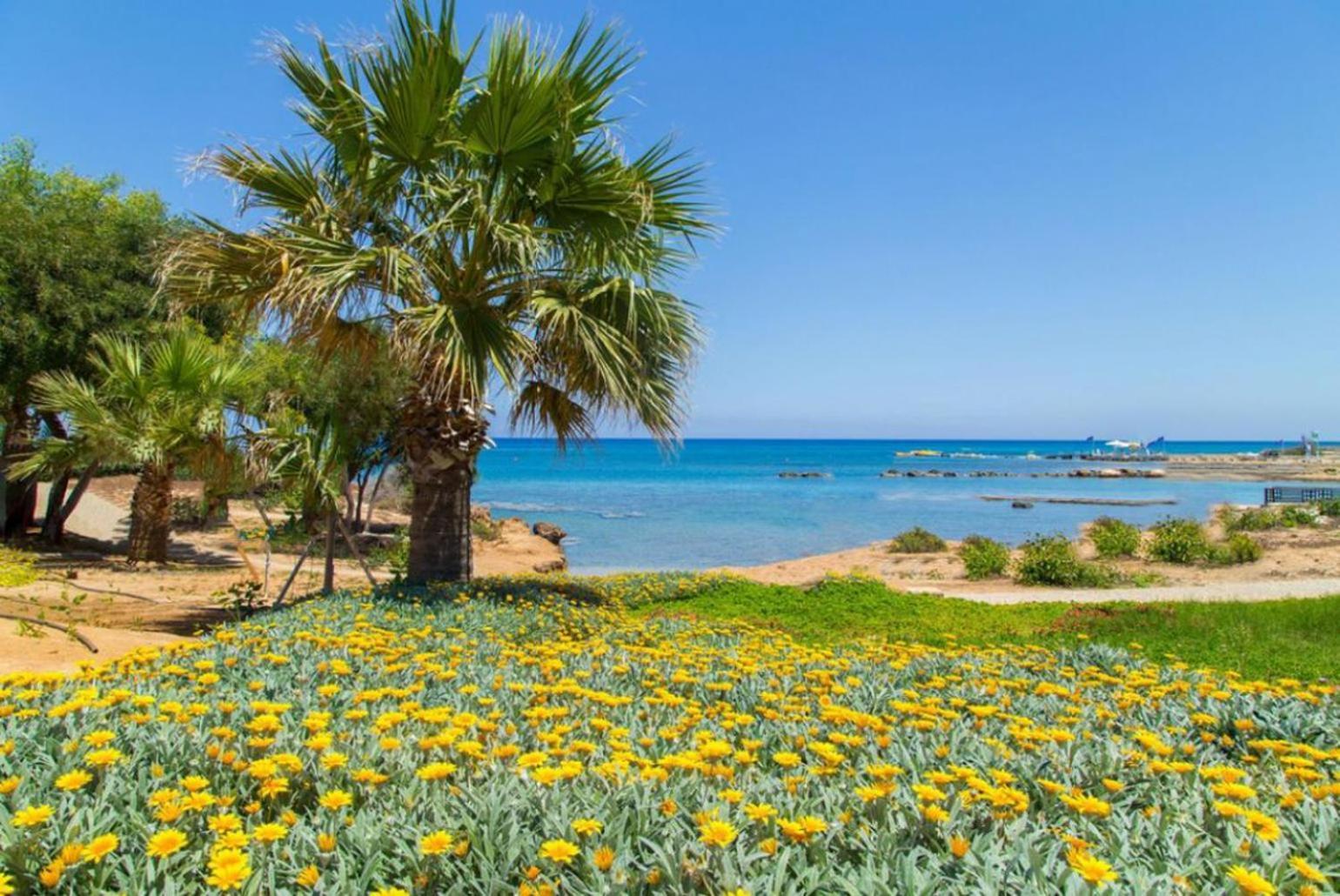 Villa Constantinos Kato Yialia 外观 照片